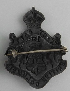 101st Infantry Battalion Other Ranks Collar Badge Reverse