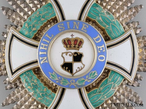 Order of the Royal House, Type I, Civil Division, Grand Cross Breast Star Obverse Detail