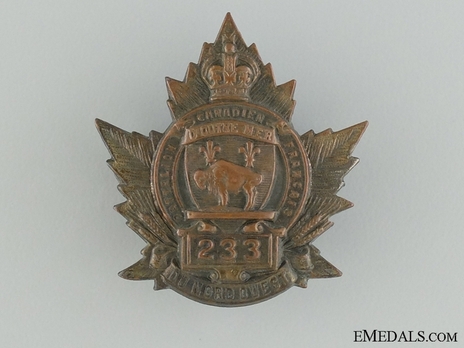 233rd Infantry Battalion Other Ranks Collar Badge Obverse