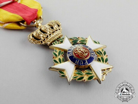 Order of Military Merit of Charles Frederick, Knight (in silver gilt) Reverse