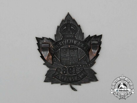 196th Infantry Battalion Other Ranks Cap Badge Reverse