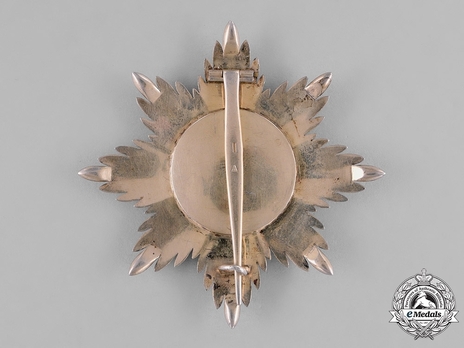 House Order of Duke Peter Friedrich Ludwig, Civil Division, Grand Cross Breast Star (with gold crown, in silver gilt) Reverse