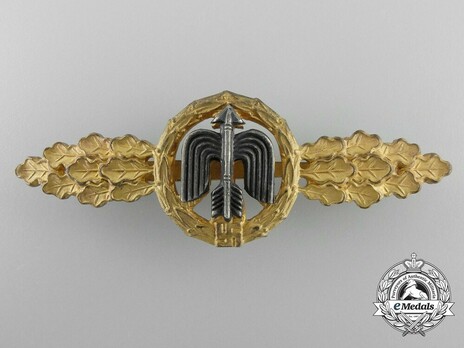 Short-Range Day Fighter Clasp, in Gold Obverse