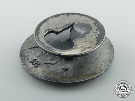 Glider Badge, in Silver Reverse Detail