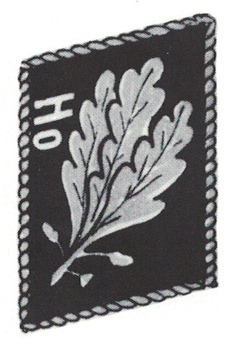 NSKK-Gruppenführer Collar Tabs Obverse