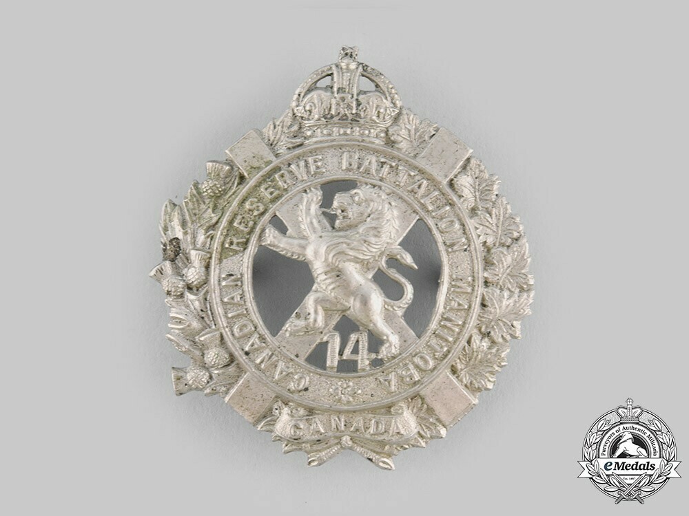 14th+infantry+badge