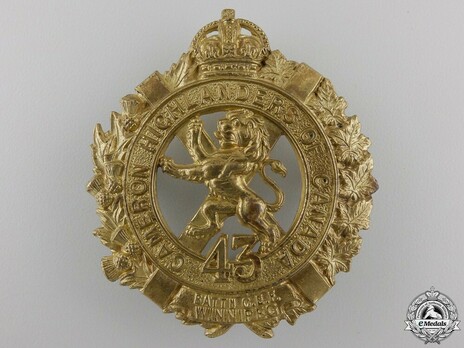 43rd Infantry Battalion Other Ranks Glengarry Badge Obverse