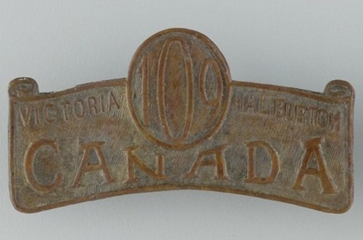 109th Infantry Battalion Other Ranks Shoulder Title Obverse