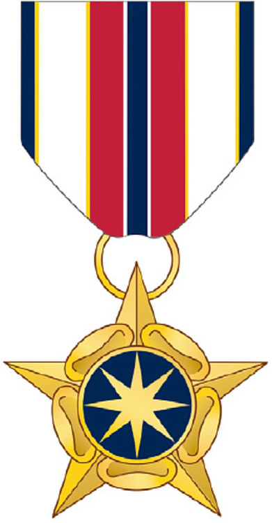 Intelligence community medal for valor