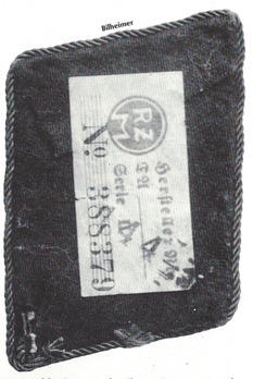 NSFK Korpsführer Collar Tabs Reverse