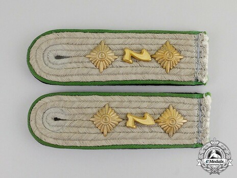 Waffen-SS Mountain Troops Hauptsturmführer Shoulder Boards Obverse