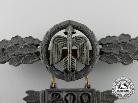 Short-Range Day Fighter Clasp, in Gold (with "200" pendant) Detail