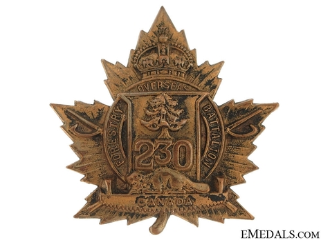 230th Infantry Battalion Other Ranks Cap Badge Obverse