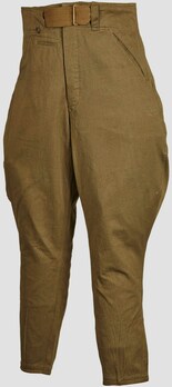 German Army Breeches (Tropical version) Obverse