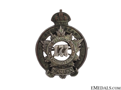 177th Infantry Battalion Officers Collar Badge Obverse