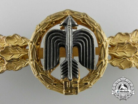 Short-Range Day Fighter Clasp, in Gold Detail