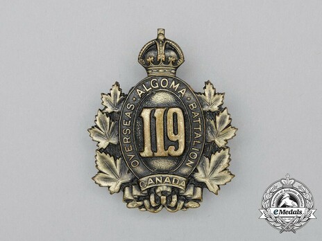 119th Infantry Battalion Other Ranks Cap Badge Obverse