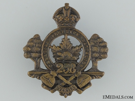 238th Infantry Battalion Other Ranks Cap Badge Obverse