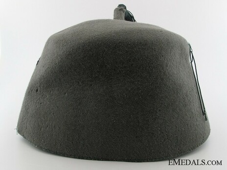 Waffen-SS Field Combat Fez Reverse