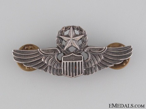 Command Pilot Wings Obverse