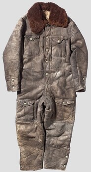 Luftwaffe Maritime Winter Flight Suit Obverse