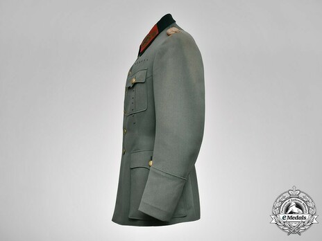 German Army General's Field Tunic Left Side