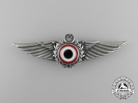 Pilot Wings (with silvered bronze) Obverse