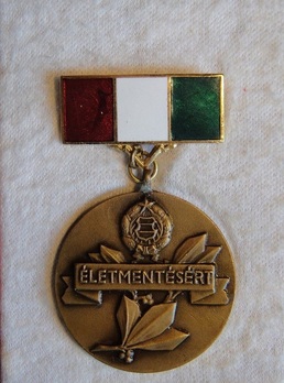 Live Saving Medal Obverse