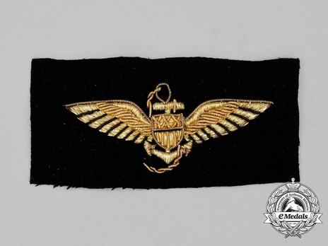 Pilot Wings (with embroidery) Obverse