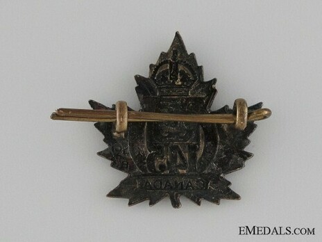 145th Infantry Battalion Other Ranks Collar Badge Reverse