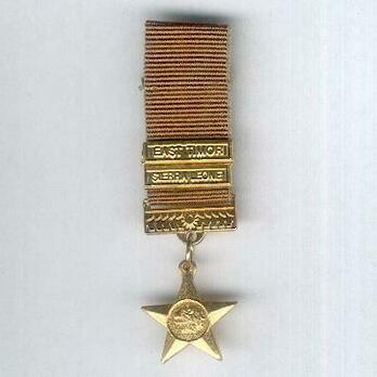 Miniature NDF Campaign Medal Obverse