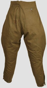 German Army Breeches (Tropical version) Reverse