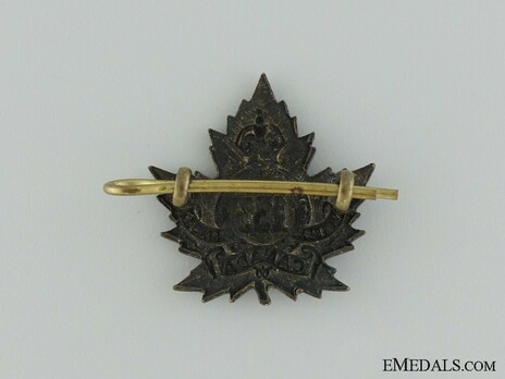 133rd Infantry Battalion Other Ranks Collar BadgeOther Ranks Collar Badge Reverse