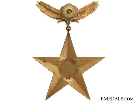  Title of the Hero of the Romanian Socialist Republic, Gold Star (prototype) Reverse