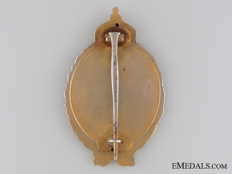 Naval Air Gunner Badge Reverse