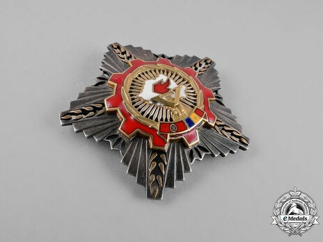 Order of the Victory of Socialism, Breast Star (in silver gilt) Obverse