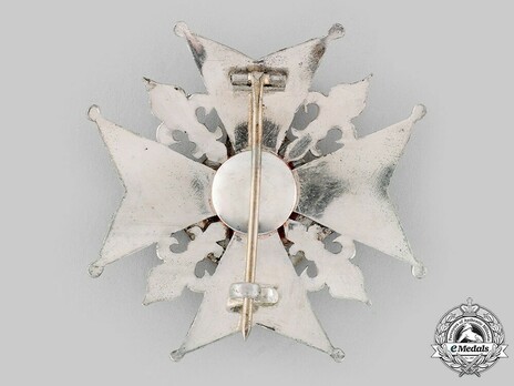 Order of Saint Januarius, Knight's Breast Star Reverse