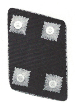 NSKK-Staffelführer Collar Tabs Obverse