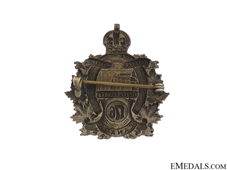 176th Infantry Battalion Officers Collar Badge Reverse