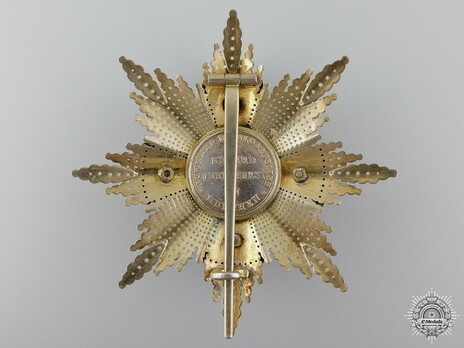 Royal Order of Merit of St. Michael, I Class Cross Breast Star (by Quellhorst) Reverse