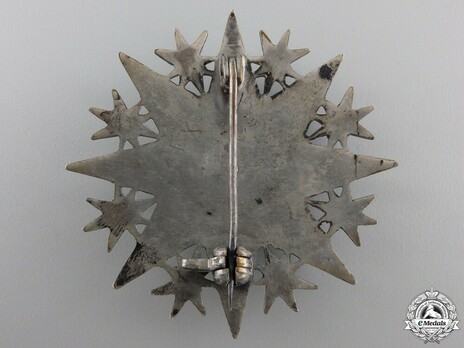 Order of Cultural Merit, IV Class Breast Star Reverse