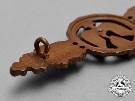 Short-Range Day Fighter Clasp, in Bronze Detail