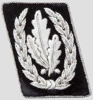 Allgemeine SS Reichsführer Collar Tabs Obverse