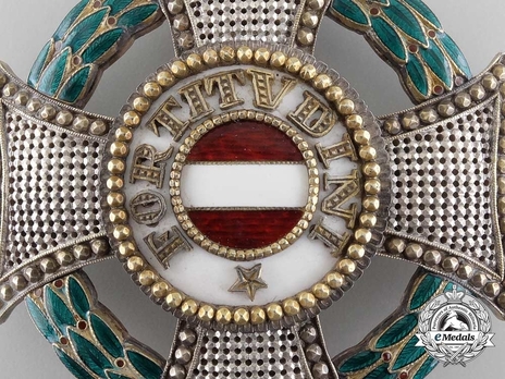 Grand Cross Breast Star (in silver gilt) Obverse