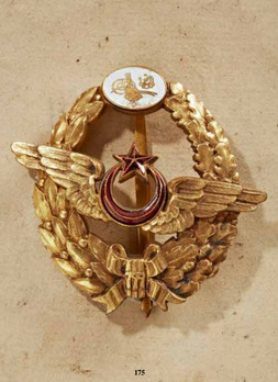 Army Pilot's Badge