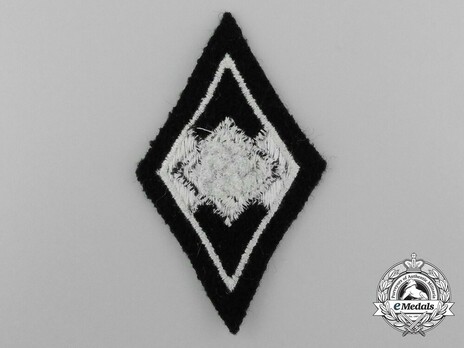 Waffen-SS Hitler Youth Service Identification Badge Reverse