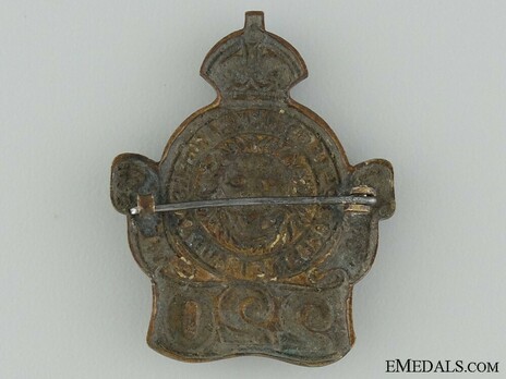 220th Infantry Battalion Other Ranks Collar Badge Reverse